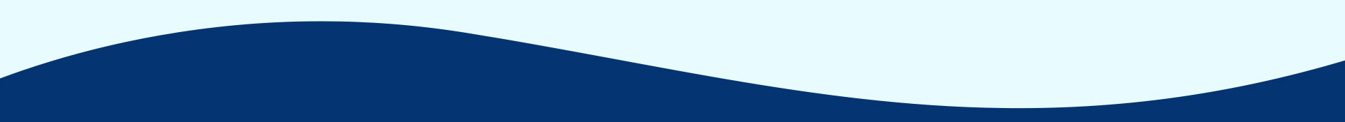 BDC Supporting Services